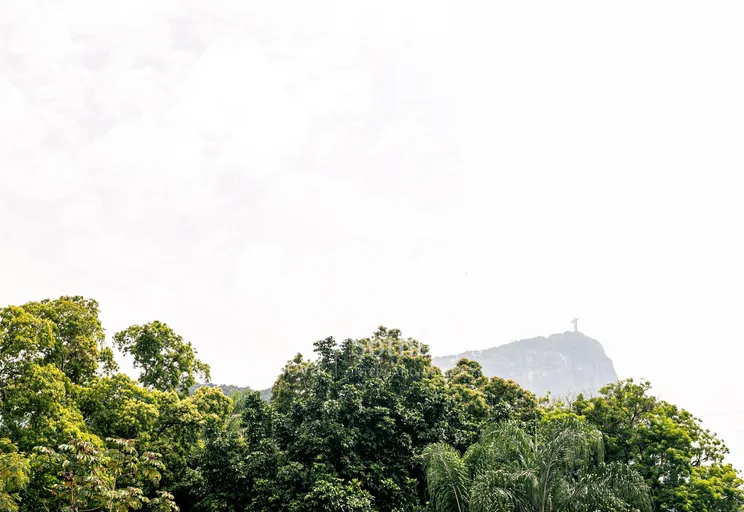 Vista - Imagem 5