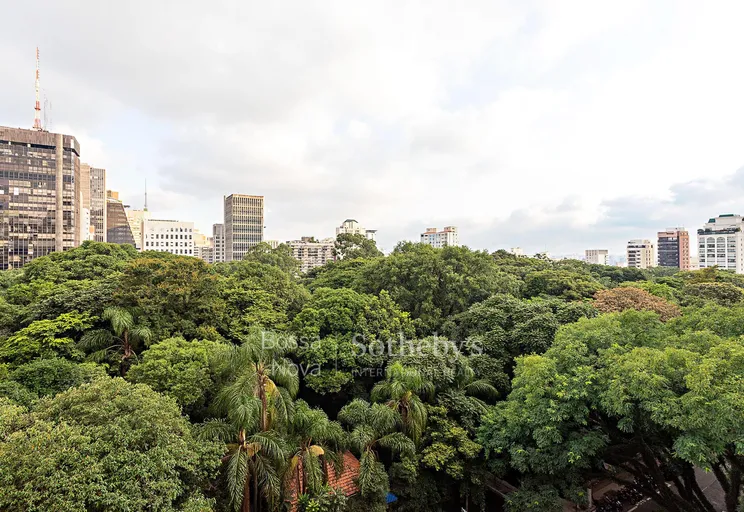Vista - Imagem 3