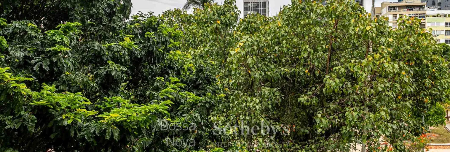 Vista - Imagem 3