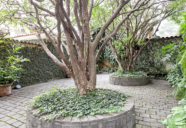 Jardim - Imagem 11