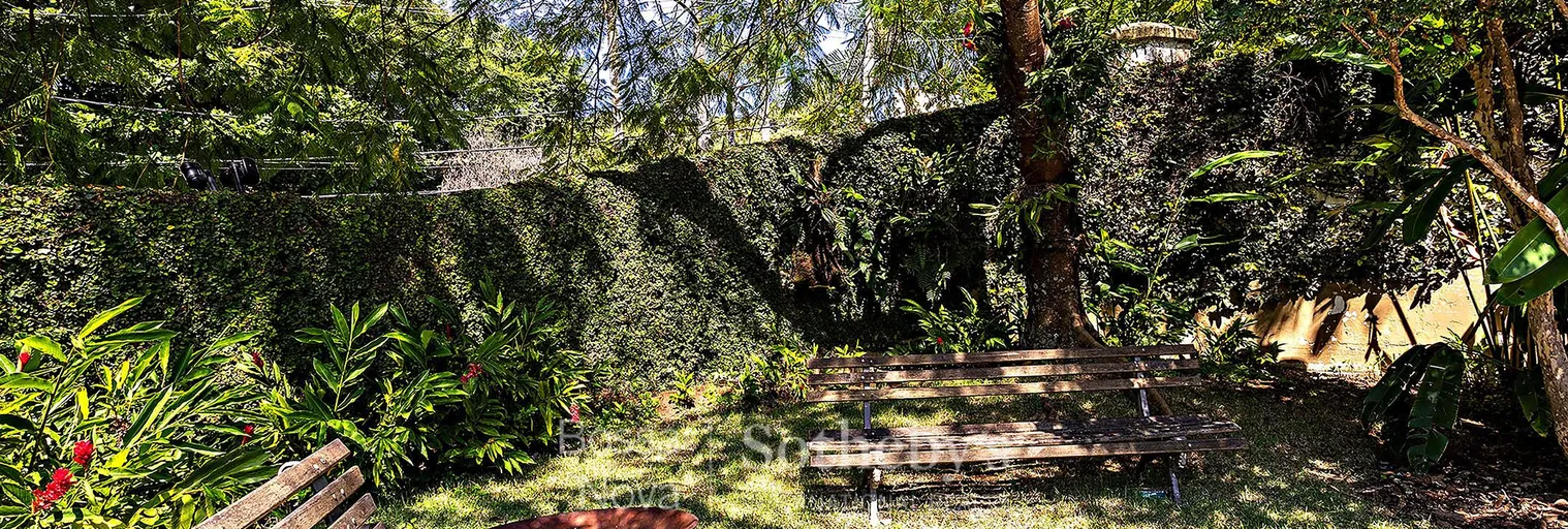 Jardim - Imagem 26