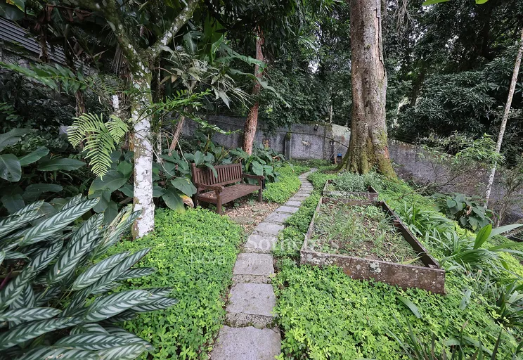 Horta - Imagem 30