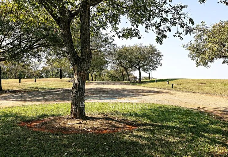 Jardim - Imagem 14