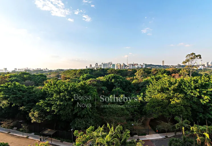 Vista - Imagem 32