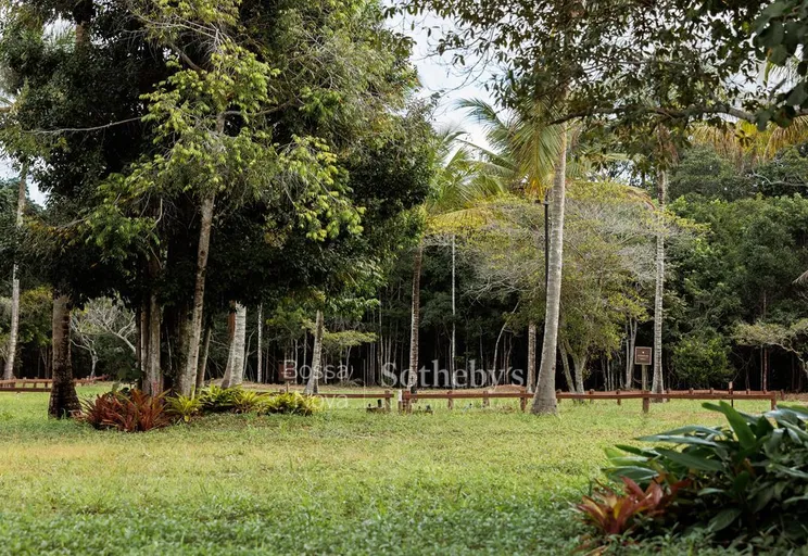 Área Externa - Imagem 5