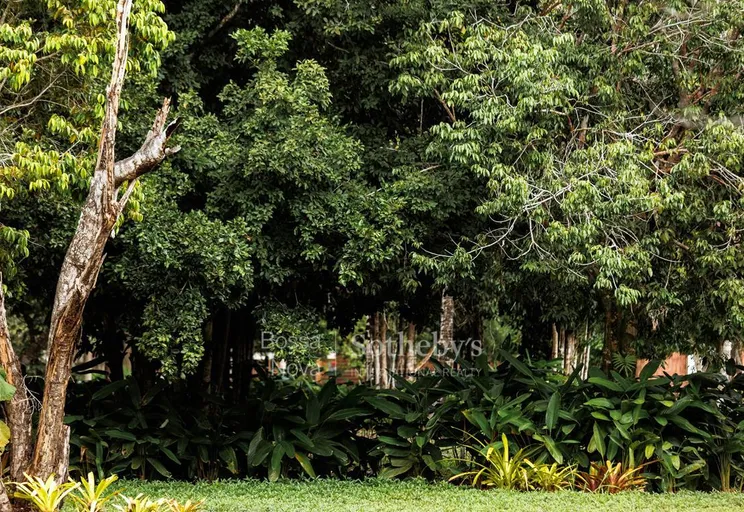 Área Externa - Imagem 3