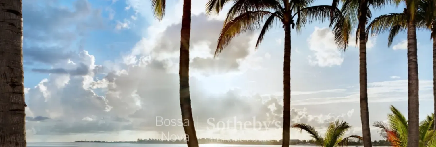 Vista - Imagem 5