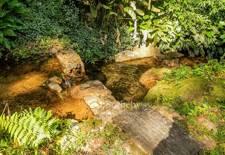 Jardim - Imagem 35