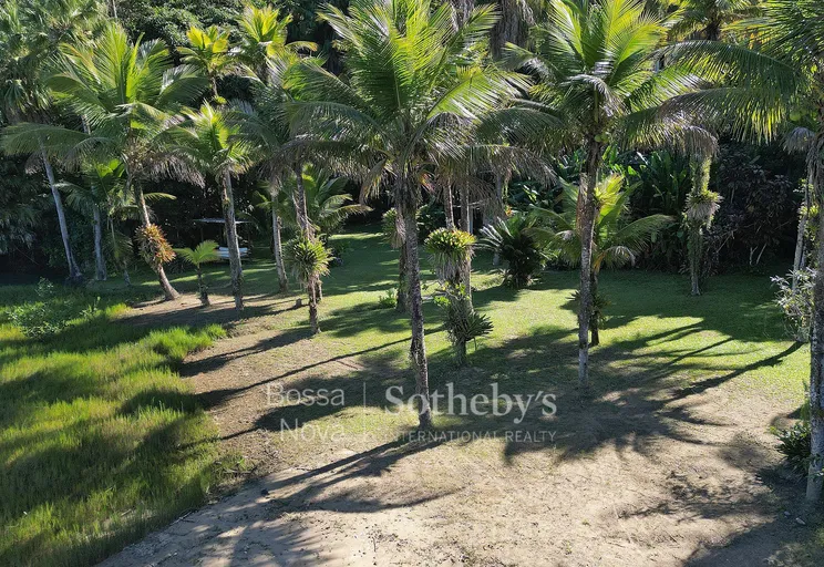 Jardim - Imagem 45