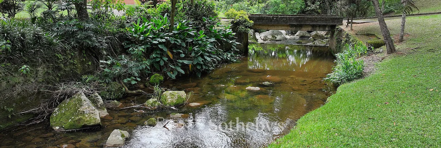 Vista para o canal - Imagem 11