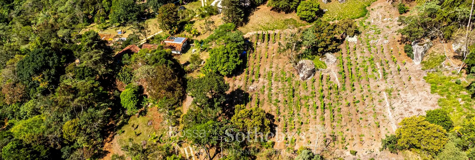 Vista Panorâmica - Imagem 91