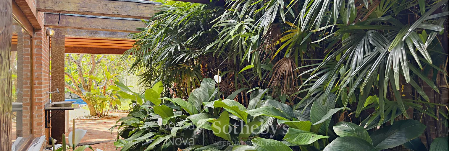 Jardim de inverno - Imagem 44