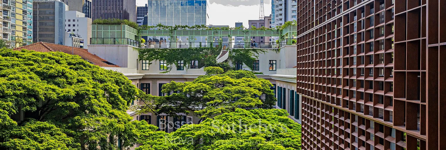 Vista - Imagem 9