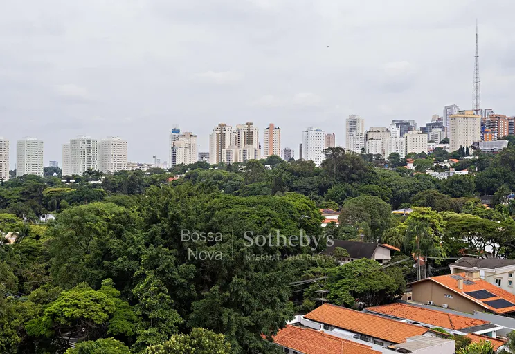 Vista - Imagem 19