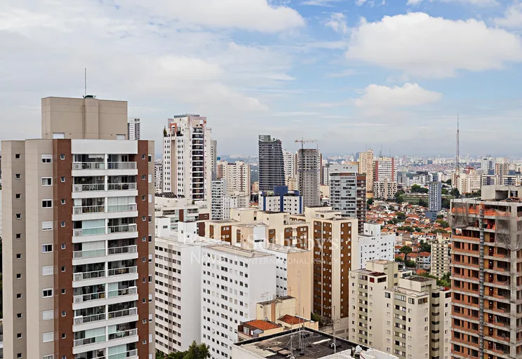 Vista - Imagem 31