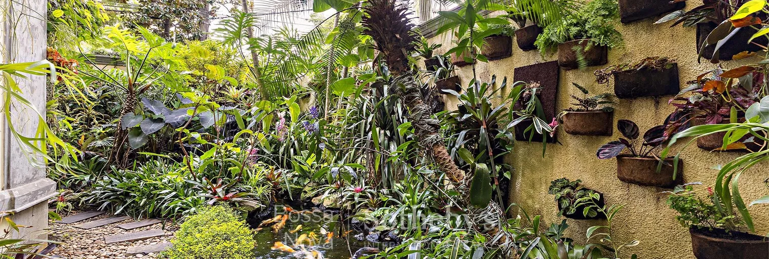 Jardim - Imagem 40