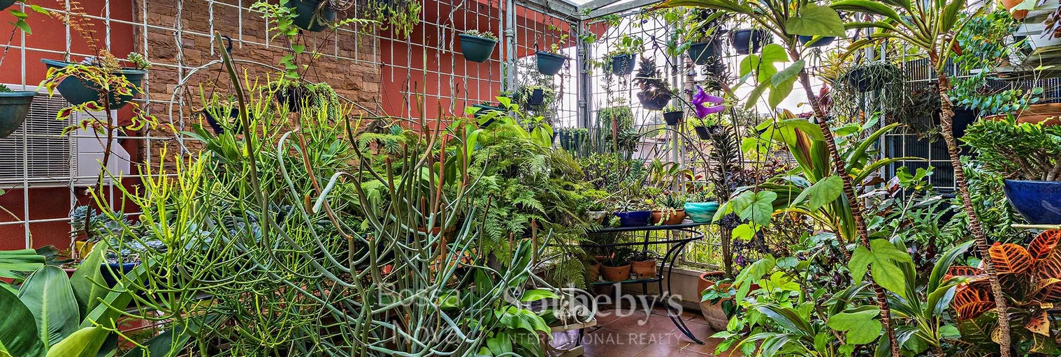 Jardim de inverno - Imagem 45
