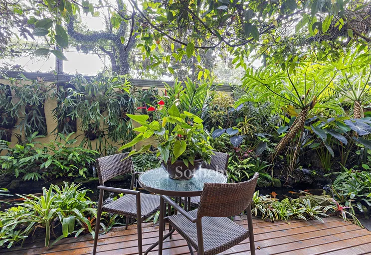 Jardim - Imagem 41