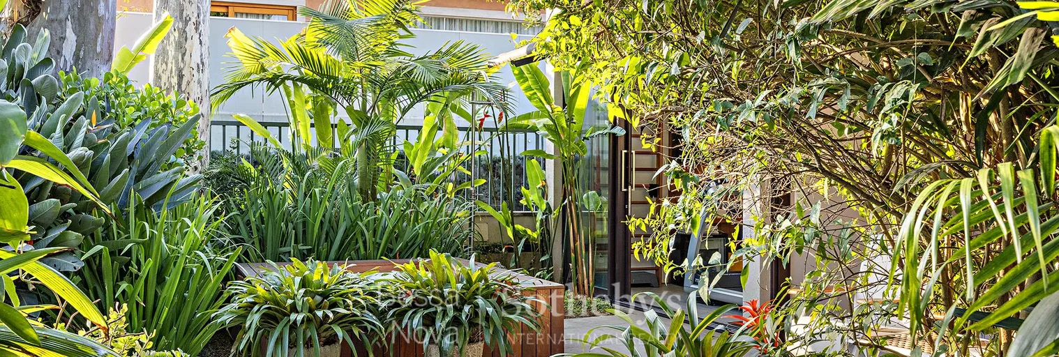 Jardim - Imagem 49