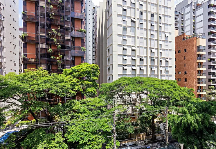 Vista - Imagem 13