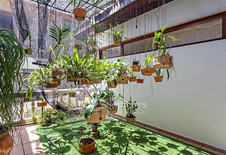 Jardim - Imagem 15