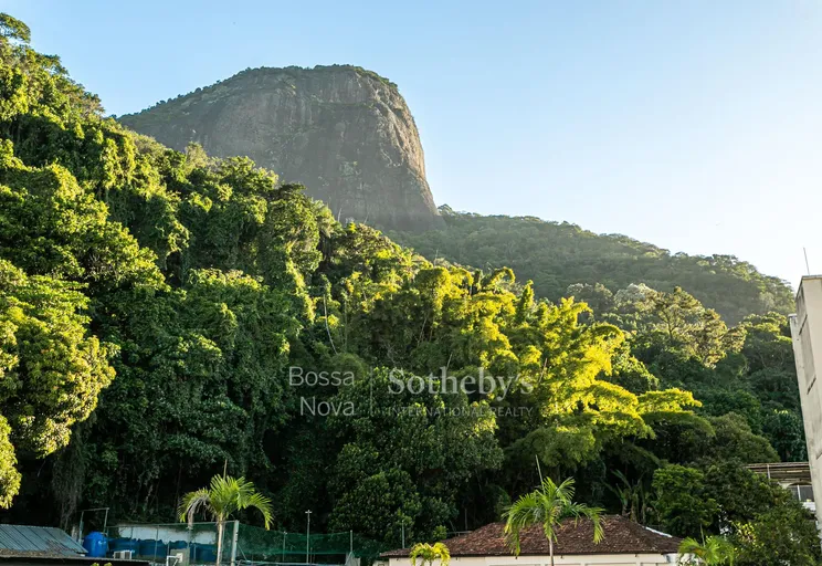 Vista - Imagem 3