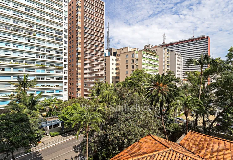 Vista - Imagem 8