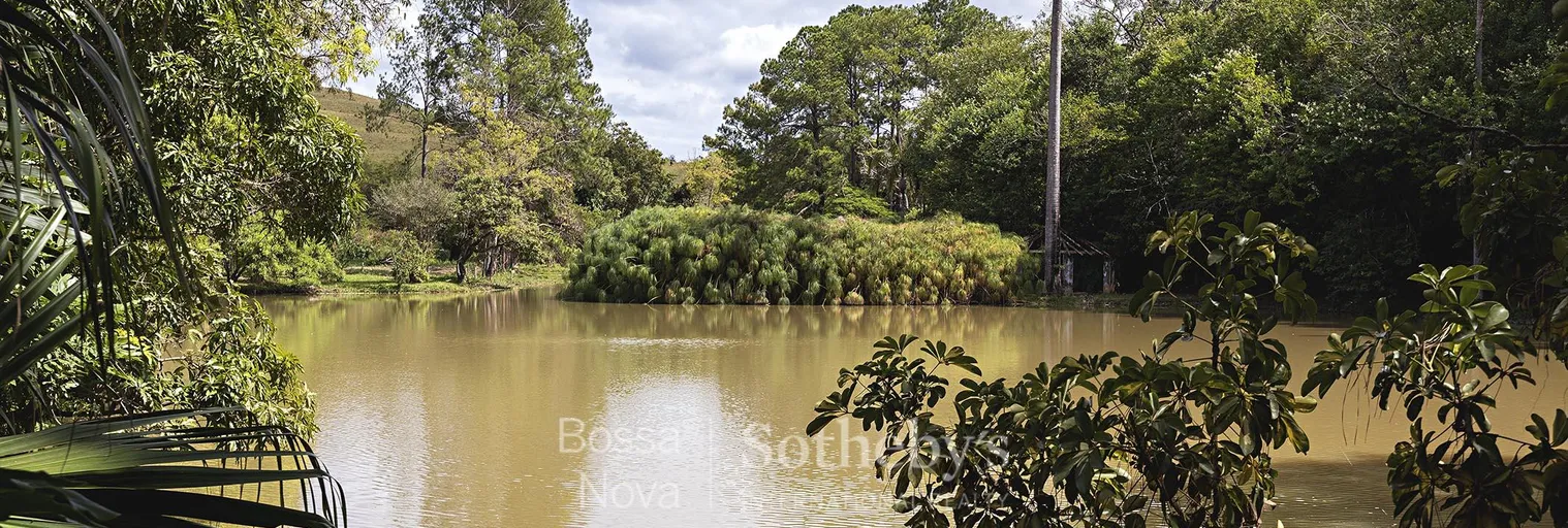Lago - Imagem 8