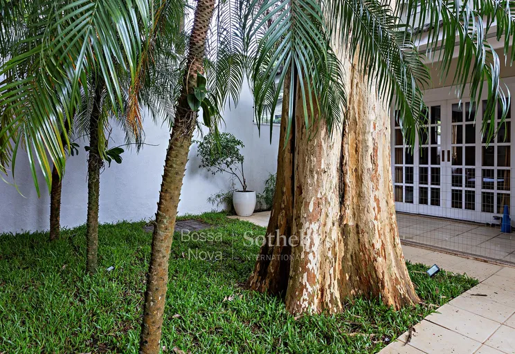 Jardim - Imagem 7