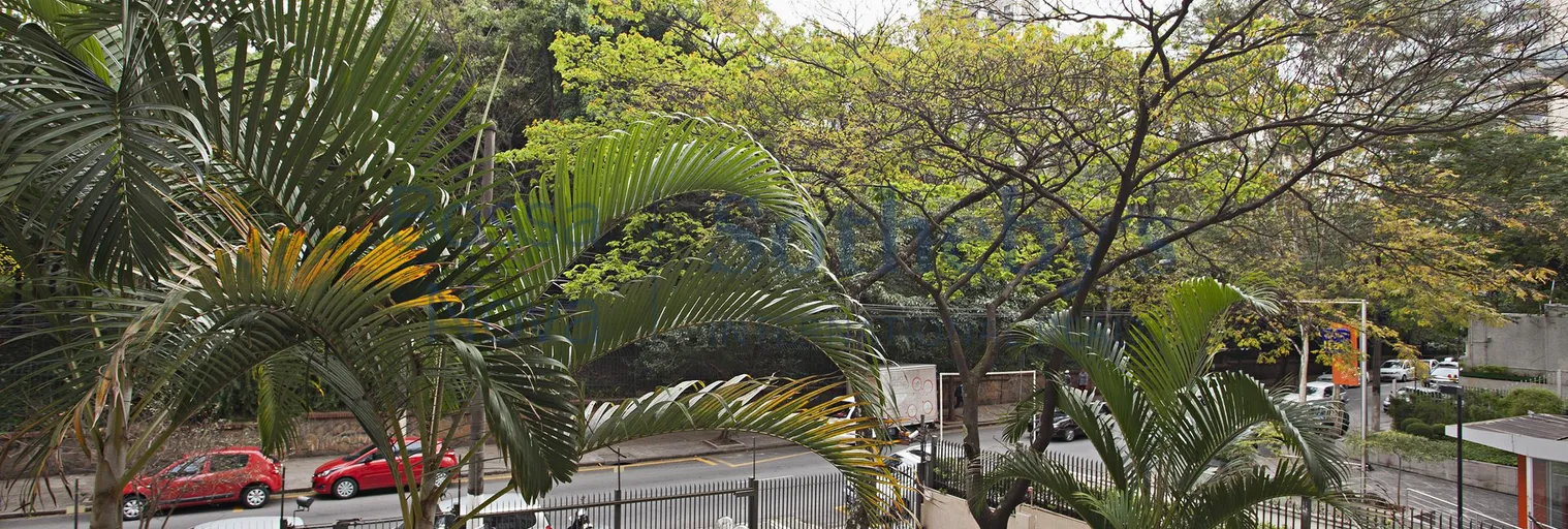 Vista - Imagem 12