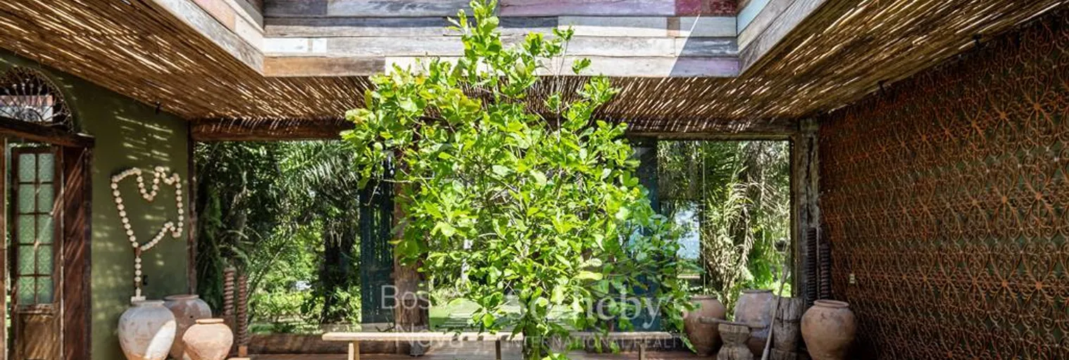 Jardim de inverno - Imagem 32