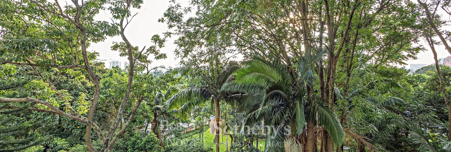 Vista - Imagem 14
