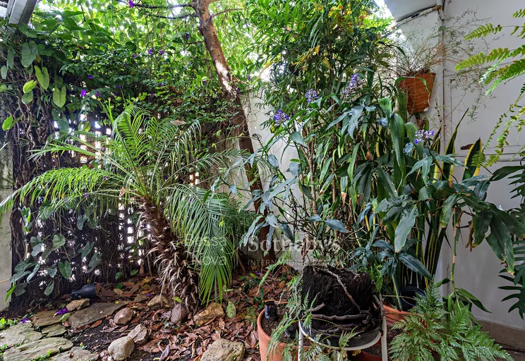 Jardim - Imagem 2