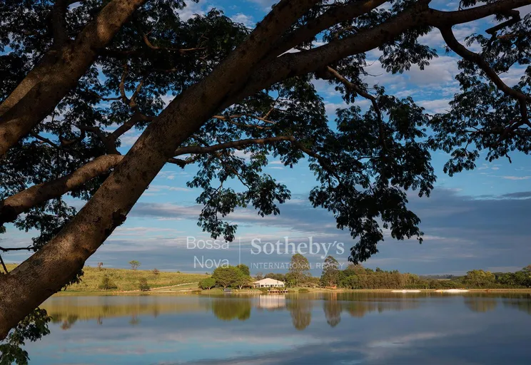 Lago - Imagem 7
