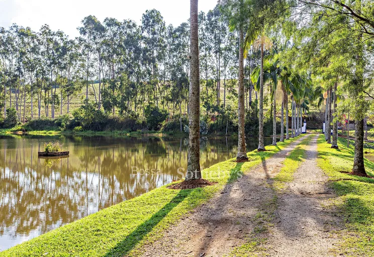 Lago - Imagem 12