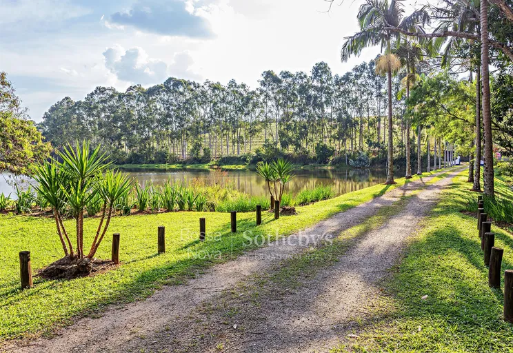 Lago - Imagem 13