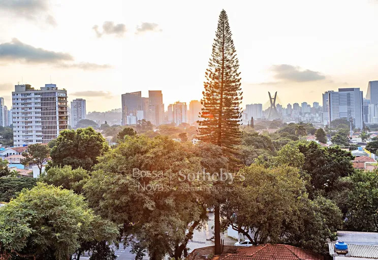 Vista - Imagem 22