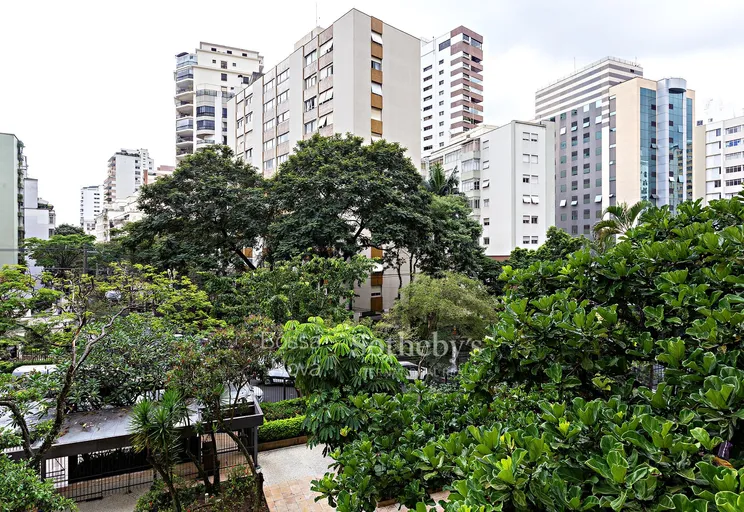 Vista - Imagem 16