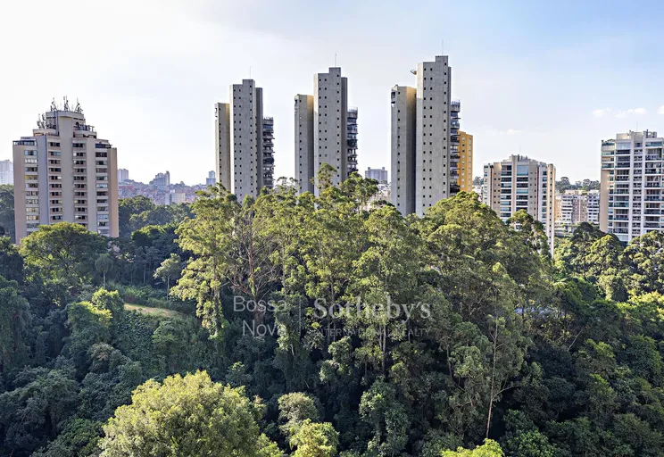 Vista - Imagem 21