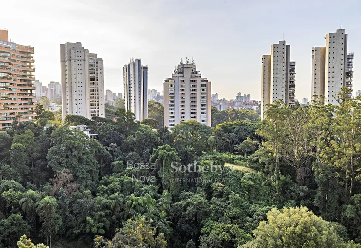 Vista - Imagem 46