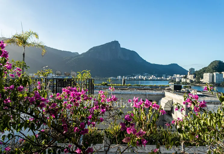 Vista - Imagem 8
