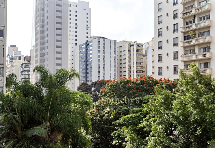 Vista Panorâmica - Imagem 6