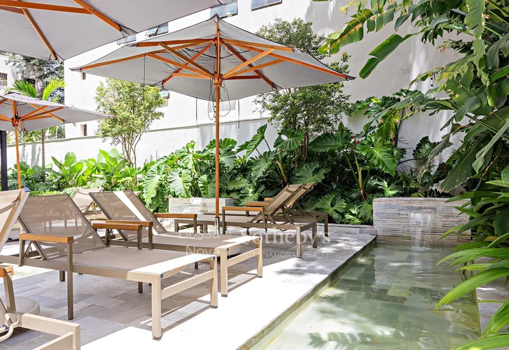 Jardim - Imagem 25