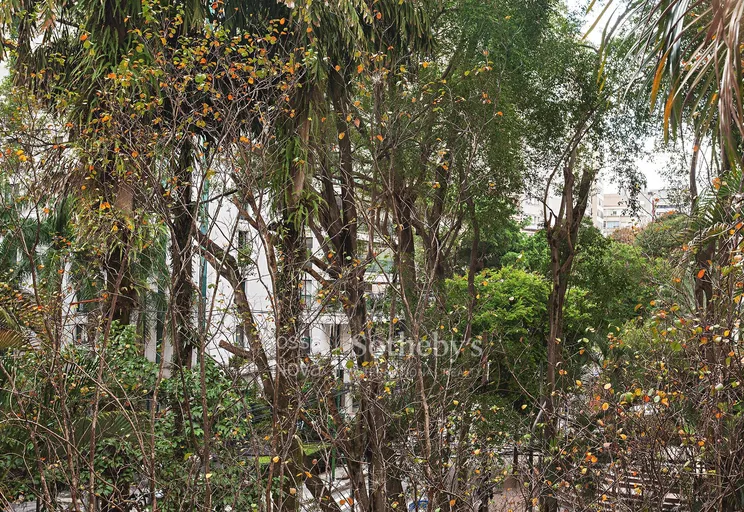 Vista - Imagem 9