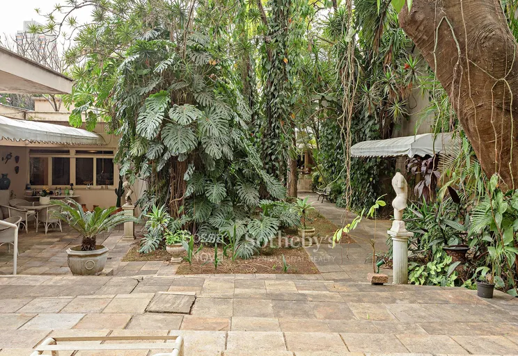 Quintal - Imagem 10