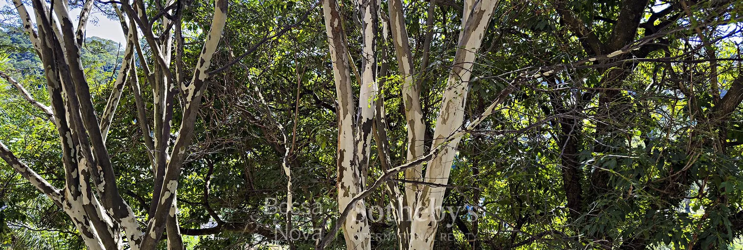 Vista - Imagem 27