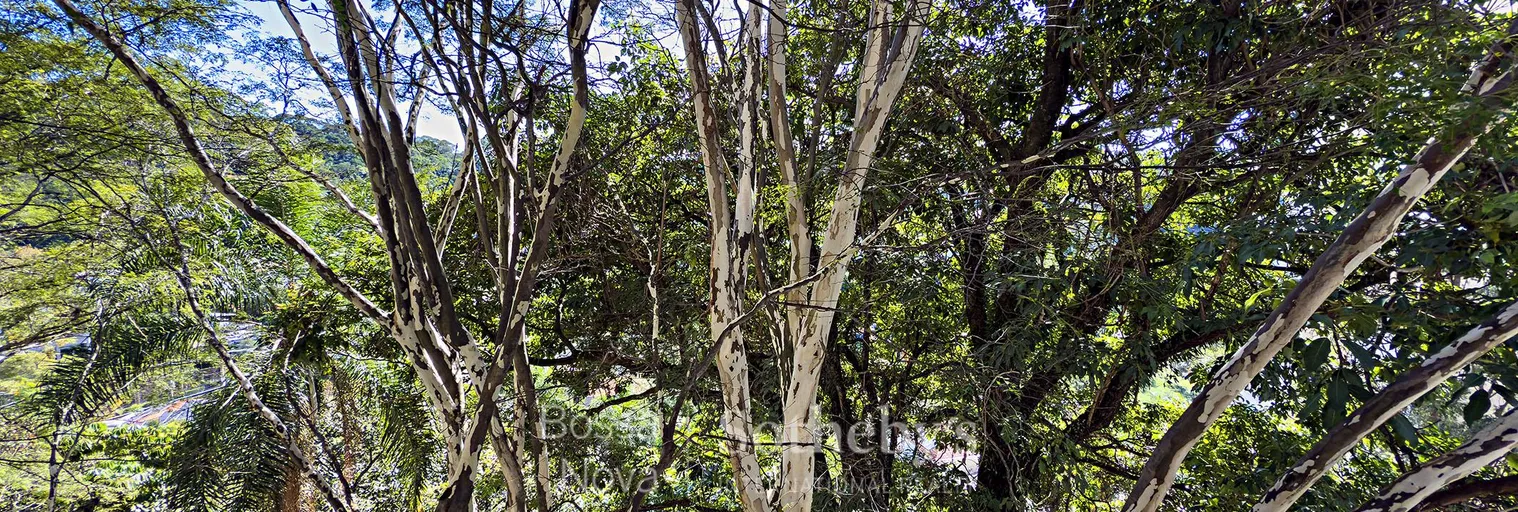 Vista - Imagem 28