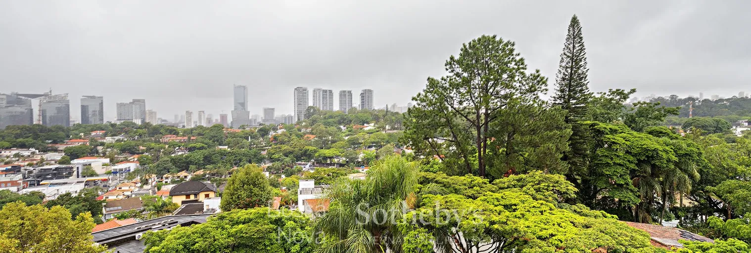 Vista - Imagem 31