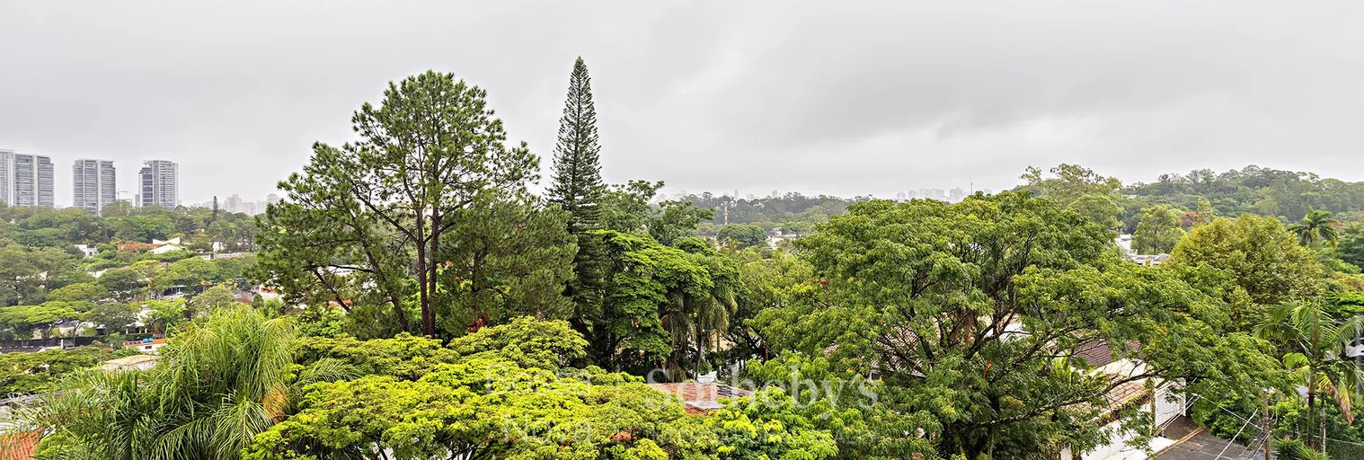 Vista - Imagem 33