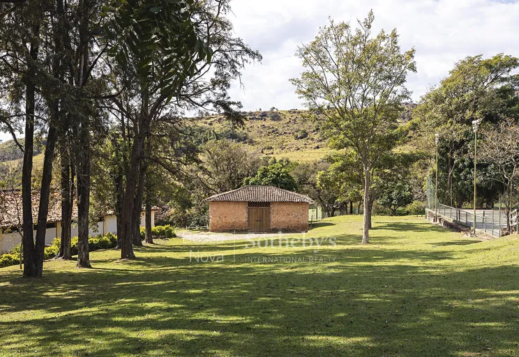 Jardim - Imagem 25